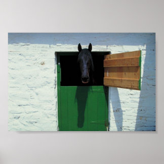 Póster Caballo con establos con puerta francesa