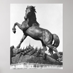 Póster Caballo con flecha