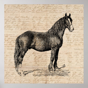 Póster Caballo con papel de guión