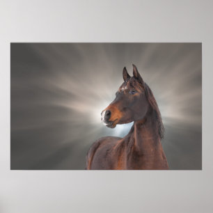Póster Caballo contra nubes