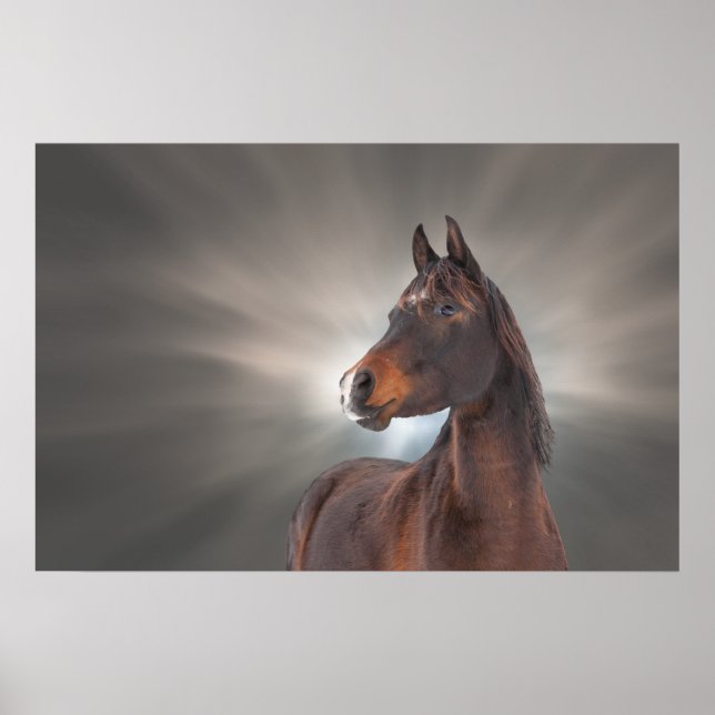 Póster Caballo contra nubes (Frente)