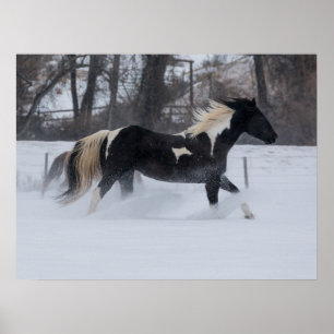 Póster Caballo corriendo a través de la nieve