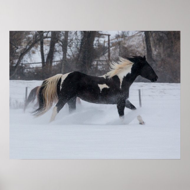 Póster Caballo corriendo a través de la nieve (Frente)
