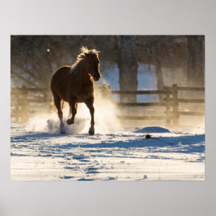 Póster Caballo corriendo a través de la nieve