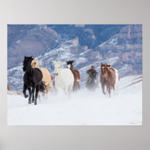 Póster Caballo corriendo a través de la nieve