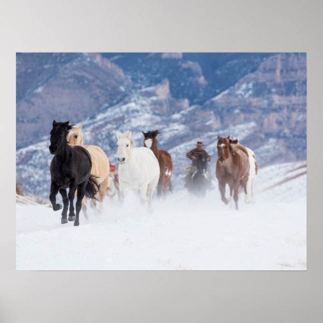 Póster Caballo corriendo a través de la nieve (Frente)
