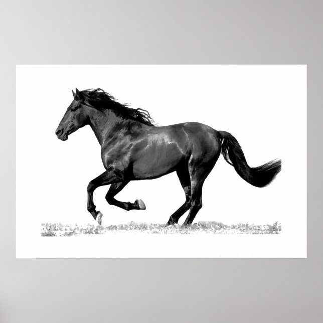 Póster Caballo Corriendo Negro Blanco (Frente)