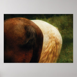 Póster Caballo - Cruz usted gana