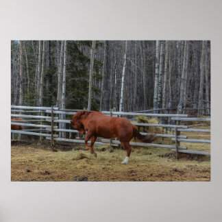 Póster Caballo de acedera con espíritu balanceándose en u