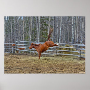 Póster Caballo de acedera espiritual balanceándose por al
