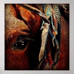 Póster Caballo de Amish
