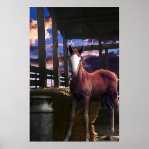Póster Caballo de caracoles en el granero