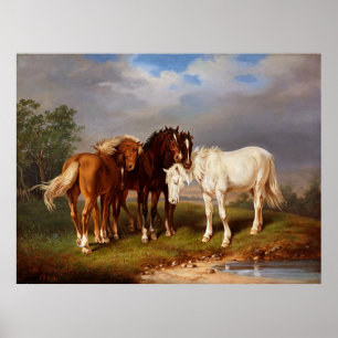 Póster Caballo de caramelo marrón blanco