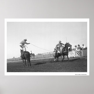 Póster Caballo de carreras