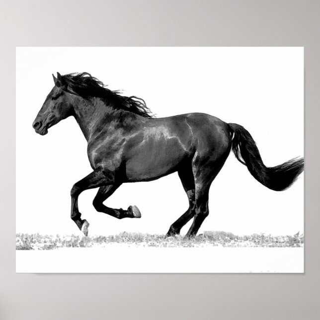 Póster Caballo de carreras blanco y negro (Frente)