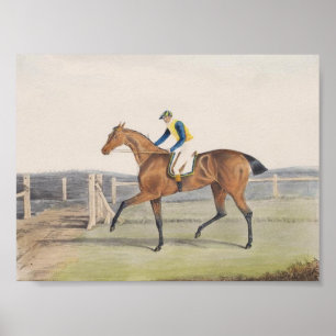 Póster Caballo de carreras británico (La Duquesa)