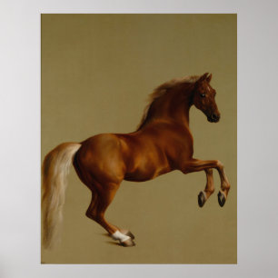 Póster Caballo de carreras de chalecos lejes de George St