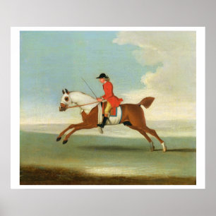 Póster Caballo de carreras galopante y jinete montado en