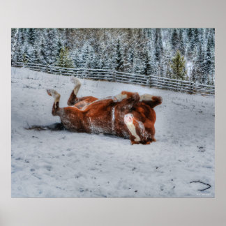 Póster Caballo de castaño rodando en foto de nieve de inv