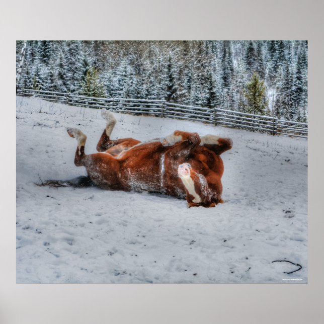 Póster Caballo de castaño rodando en foto de nieve de inv (Frente)
