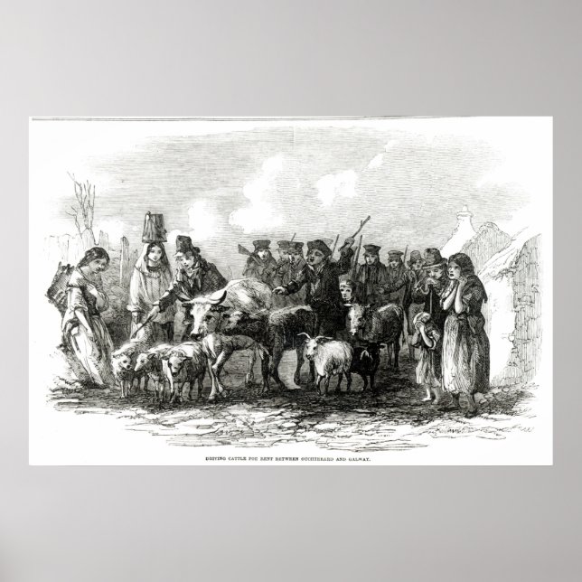 Póster Caballo de Conducción para Alquiler (Frente)