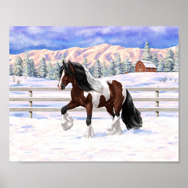 Póster Caballo de Draft Gypsy Vanner Pinto de Bahía Marró (Frente)