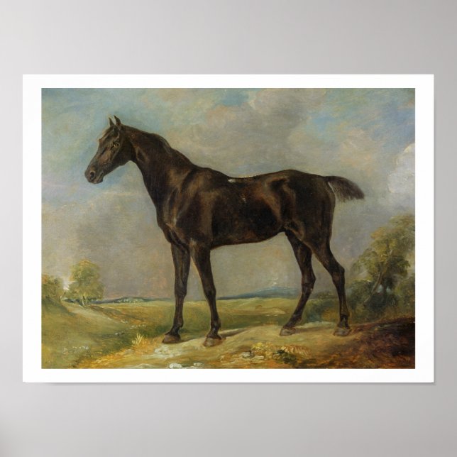 Póster Caballo de equitación negro de Golding Constable,  (Frente)