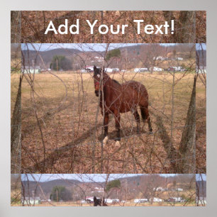 Póster Caballo de Granja Marrón Virginia Occidental