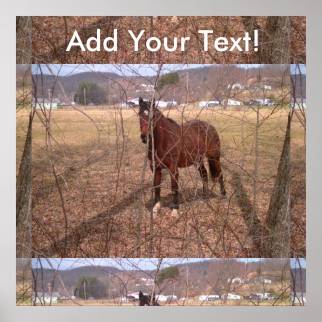 Póster Caballo de Granja Marrón Virginia Occidental (Frente)