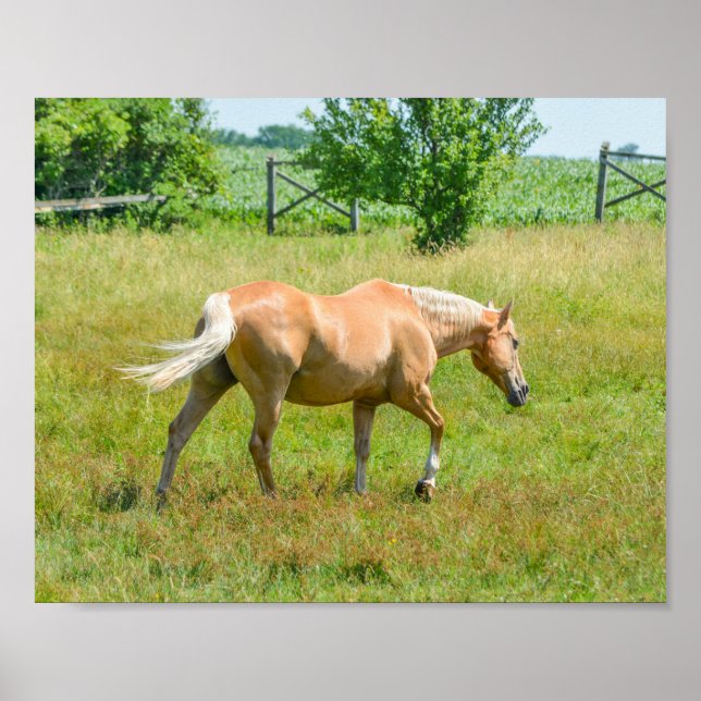 Póster Caballo de Granja Palomino (Frente)