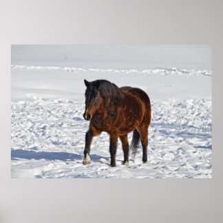 Póster Caballo de invierno de la bahía "Año del Caballo"