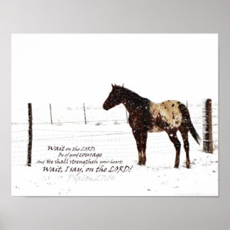 Póster Caballo de invierno y escritura 11x14 Poster mate