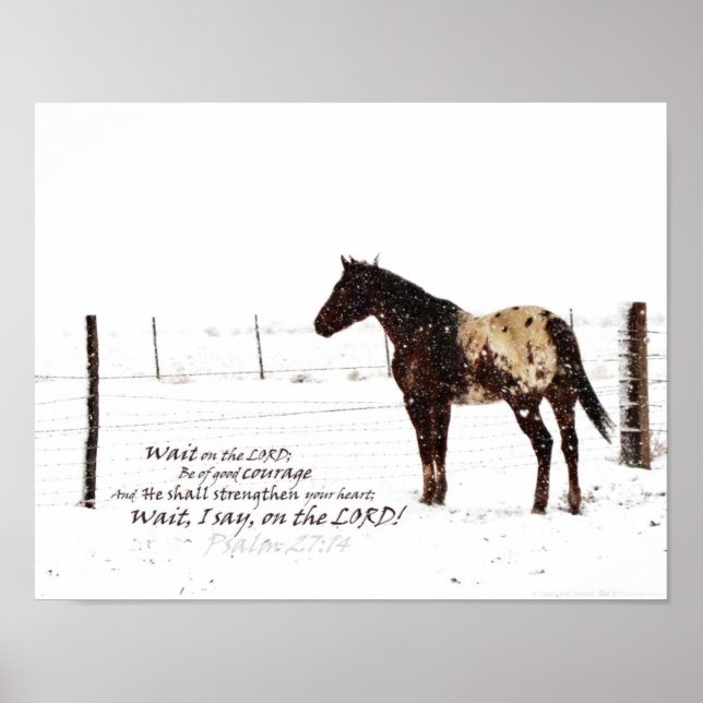 Póster Caballo de invierno y escritura 11x14 Poster mate (Frente)