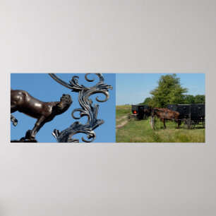 Póster Caballo de la ciudad, caballos de campo