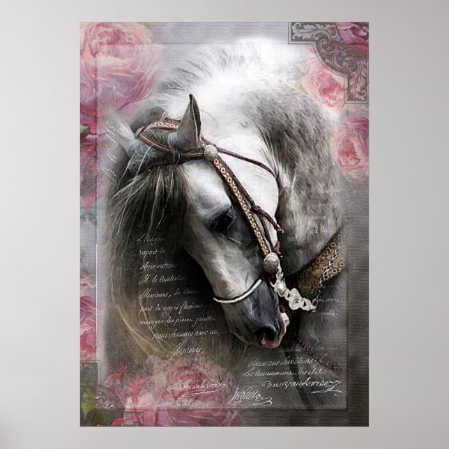 Póster Caballo de Lusitano - Poster (Frente)