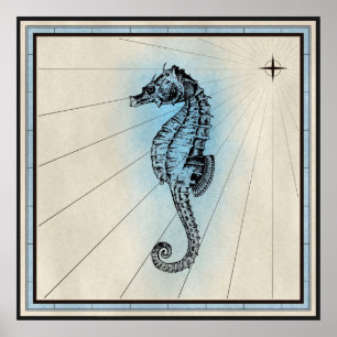 Póster Caballo de mar