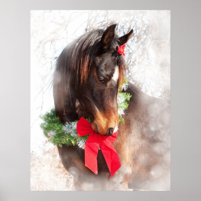 Póster Caballo de Navidades de ensueño (Frente)