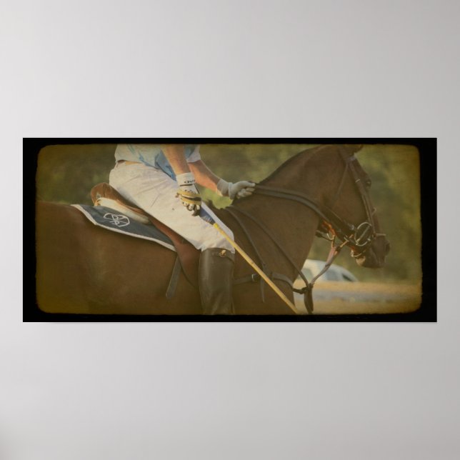 Póster Caballo de Polo (Frente)