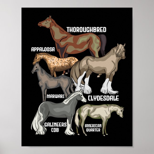 Póster Caballo de raza de caballos de mujeres (Frente)