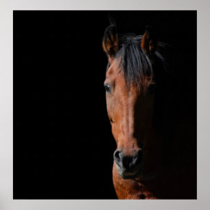 Póster Caballo de Sombra