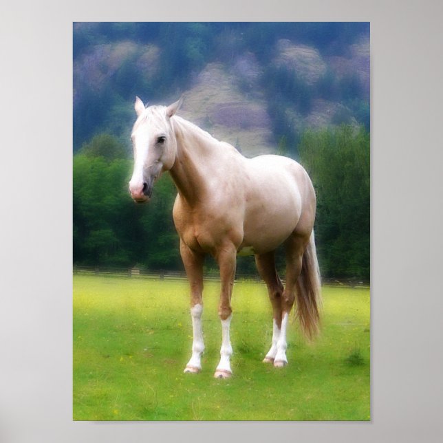 Póster Caballo de Sueño Palomino (Frente)