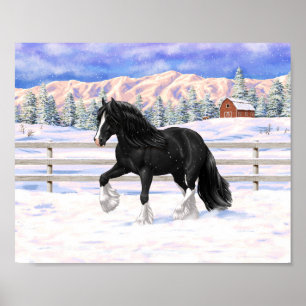 Póster Caballo de tiro Irish Cob Gypsy Vanner negro en la