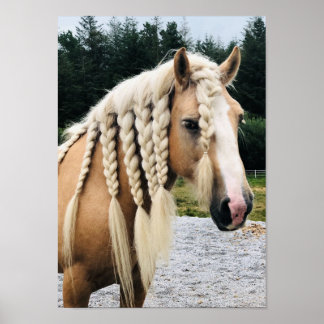 Póster Caballo de vancha gitano palomino