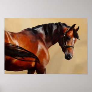 Póster Caballo del aceite