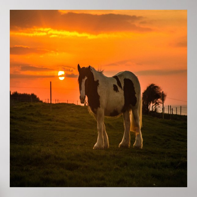 Póster Caballo del atardecer (Frente)