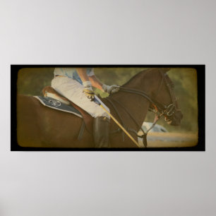 Póster Caballo del polo