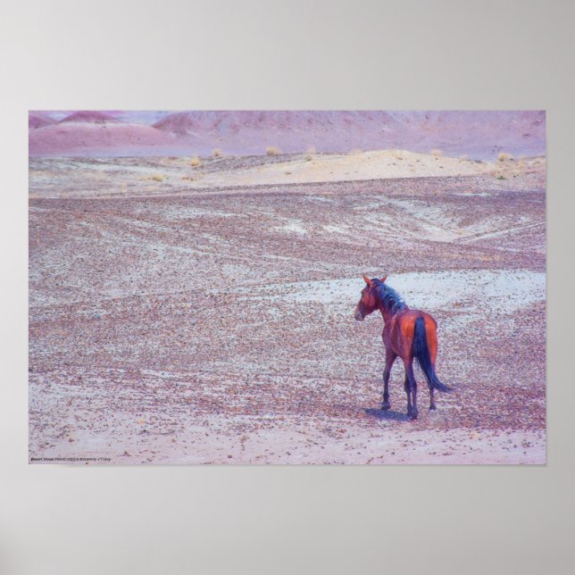 Póster Caballo desierto P8640 (Frente)