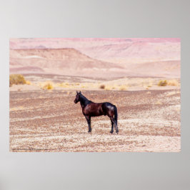 Póster Caballo desierto P8664