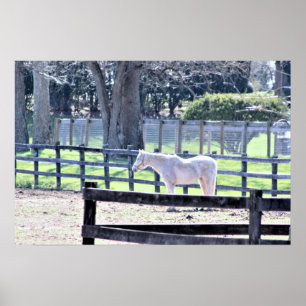Póster Caballo en el Poster de la granja