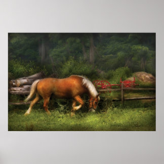 Póster Caballo - En la pradera